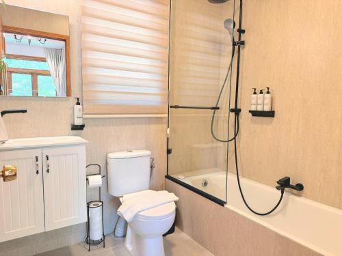 a bathroom with a shower and a toilet and a sink at הבית בראש פינה - The House in Rosh Pinna