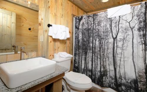 ein Badezimmer mit Waschbecken, Toilette und Duschvorhang in der Unterkunft Treehouse River Lodge in Pigeon Forge