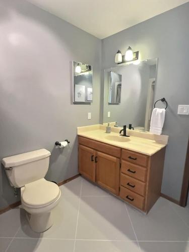 a bathroom with a toilet and a sink and a mirror at Vineyard Home Casa De Herrera in Keremeos