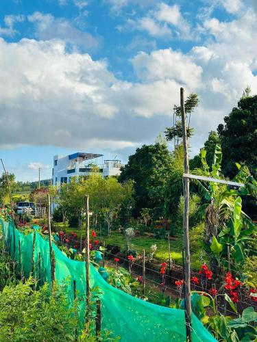 Gallery image of Elmadel Coffee Gardens 5Bedroom Villa Mua Hills 50kms from Nairobi in Machakos