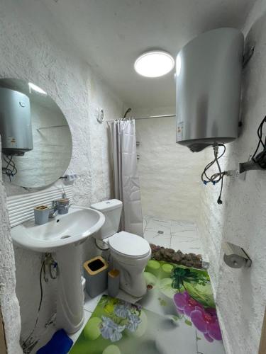 a bathroom with a toilet and a sink and a mirror at Сайма Таш in Bokonbayevo