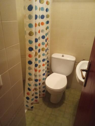 a bathroom with a toilet and a shower curtain at Hostal casa Hinojosa in Hinojosa de Duero