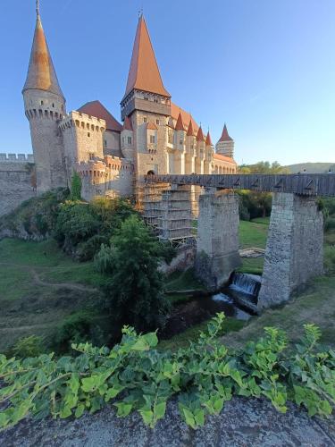 Fotografie z fotogalerie ubytování BTP House v destinaci Hunedoara