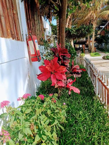 a garden with red flowers next to a building at Casa Villamor in Máncora