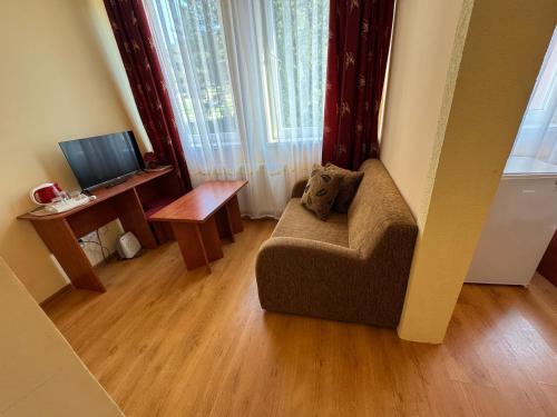 a living room with a couch and a television at Penzion Zornicka in Bardejovské Kúpele