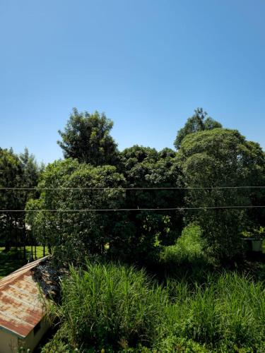 a group of trees in a field with power lines at Nyodera Homes Furnished Apartments in Oyugis