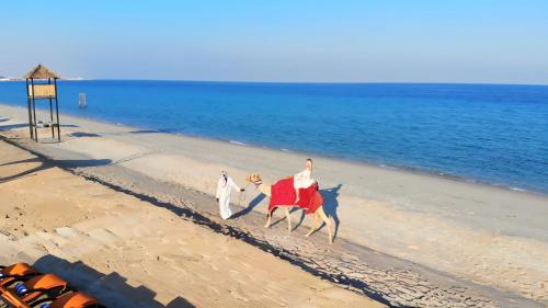 a man riding a camel on the beach at Regency Sealine Camp in Mesaieed