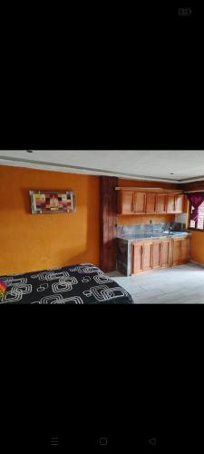 a bedroom with a bed and wooden cabinets at Cabañas Ángela 3 in Mazamitla