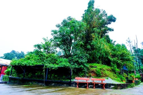 two red benches sitting in front of a tree at Kumbles Misty Mount in Attigundi