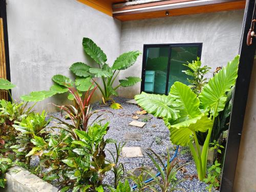 a garden with plants in front of a building at Ingtara at Lanta in Ko Lanta