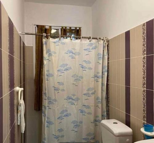 ケリビアにあるDar lborjのシャワーカーテンとトイレ付きのバスルーム