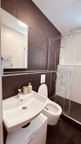 a bathroom with a sink and a toilet and a shower at DE Apartment in Neu Ulm