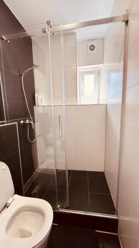 a bathroom with a shower and a toilet at DE Apartment in Neu Ulm