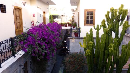 a garden with cacti and purple flowers on a fence at Majestad Hotel Boutique in Arequipa