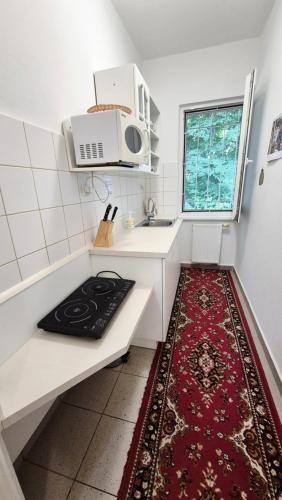 a small kitchen with a sink and a microwave at Apartmány a penzion Hacienda in Domanín