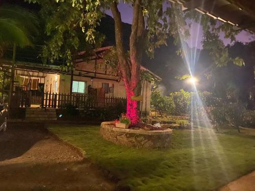 Zahrada ubytování Paradise farm house, Girivan