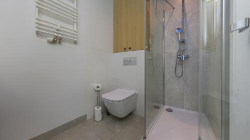 a bathroom with a toilet and a glass shower at Nexo, Sun & Snow in Puck