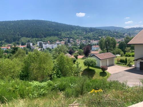 Logement 2 chambres au calme avec séjour et balcon 1 au Rdc a Gérardmer