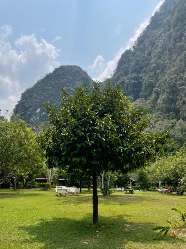 Gallery image of The Cliff and River Jungle Resort ภูผาและลำธารรีสอร์ท in Ban Bang Thong
