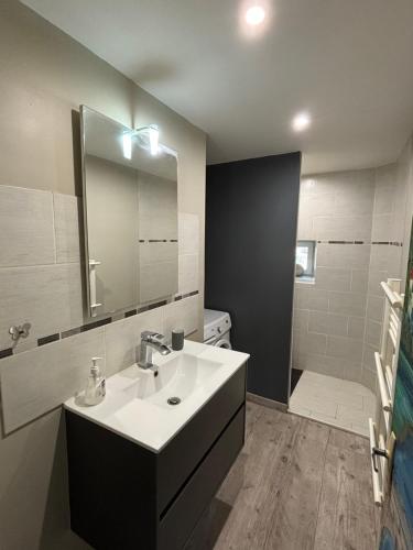a bathroom with a sink and a mirror and a shower at Maison de campagne in Grandviala