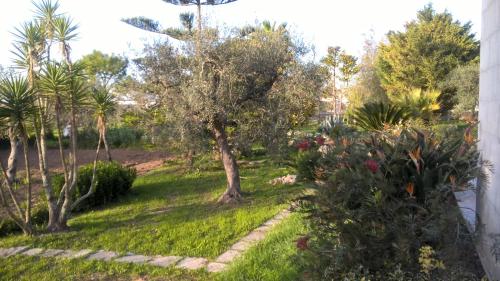 Gallery image of Vacanze al Minci in Giurdignano
