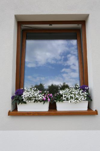 a window with two flower pots on a window sill at Hostel w ogrodzie in Grudziądz