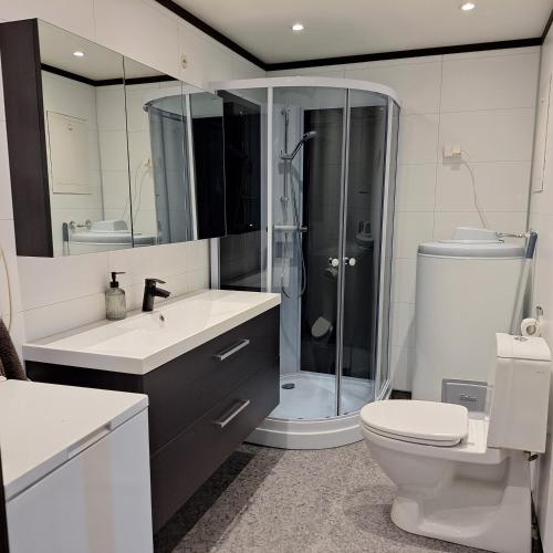 a bathroom with a shower and a toilet and a sink at Grasbakken Panorama in Varangerbotn