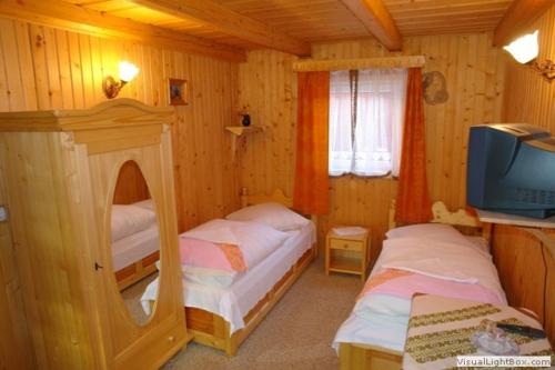 a small bedroom with two beds and a tv at Pension Crizantema in Vatra Moldoviţei
