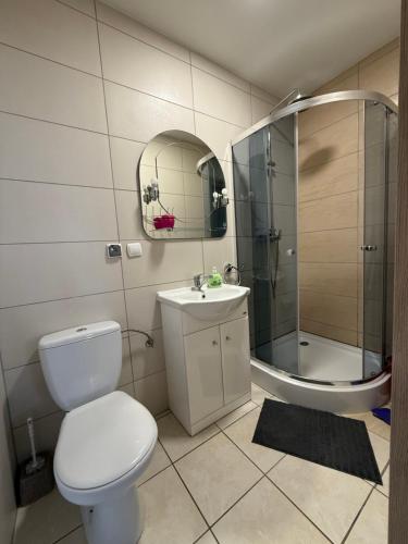 a bathroom with a toilet and a shower and a sink at domek campingowy in Brachlewo