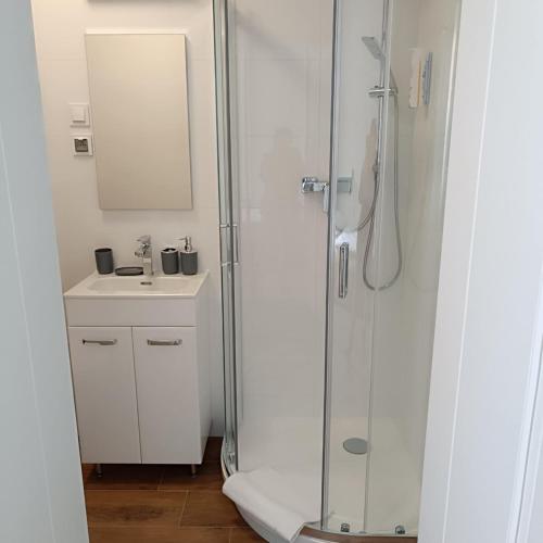 a white bathroom with a shower and a sink at Villa Polonia in Jelenia Góra