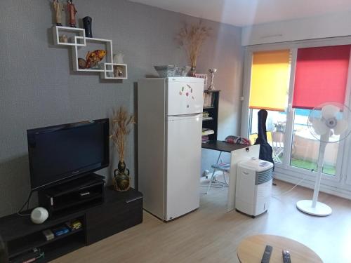Il comprend un salon avec un réfrigérateur et une télévision. dans l'établissement studio meublé ensoleillé fibre Bouygues, à Nîmes