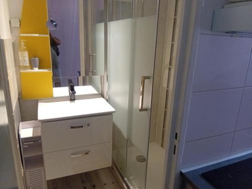 une salle de bain avec un lavabo et une douche dans l'établissement studio meublé ensoleillé fibre Bouygues, à Nîmes