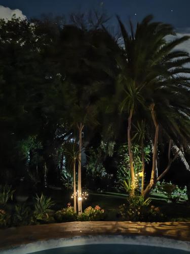 Jardín al aire libre en Somerset west Stay 1