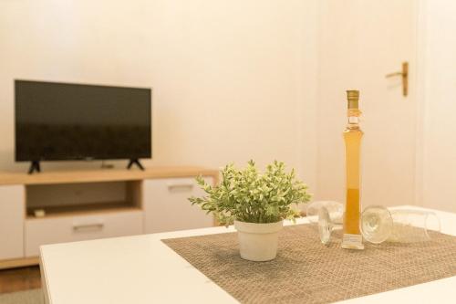 Apartment Tranquilo Garden