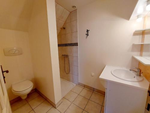 a bathroom with a shower and a toilet and a sink at Les Preaux in Carelles