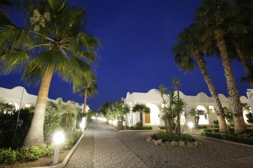 a street lined with palm trees at night at Garden Hotel Ripa in Vieste