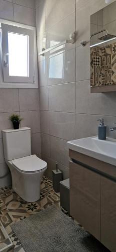 a bathroom with a toilet and a sink at MemRo Village House in Atsoupádhes