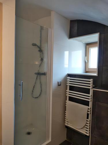 a shower with a glass door in a bathroom at L'alouette - Gites Rocheflamme in La Malène