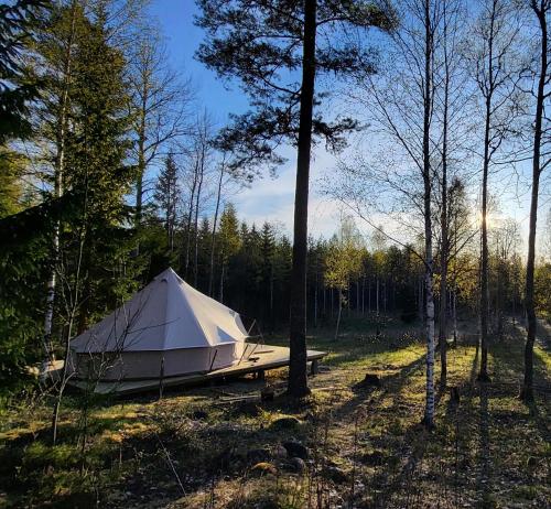 a white tent in the middle of a forest at Luxe tent met uitzicht op het bos en met Sauna en hottub 