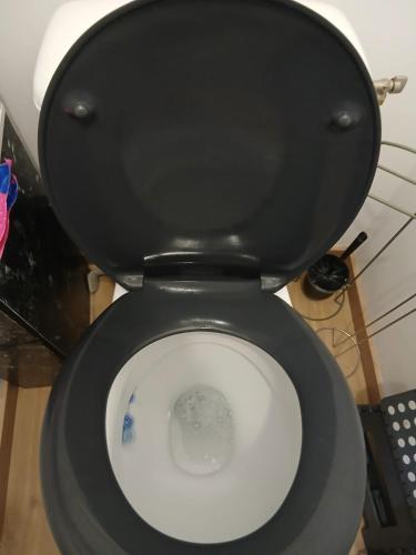 des toilettes noires avec le siège relevé dans une salle de bain dans l'établissement Mobil-home avec terasse ombragée, à Meschers-sur-Gironde