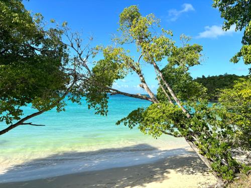 a view of the beach through the trees at Sunset Dream - Bungalow haut de gamme proche Plage in Grand-Bourg