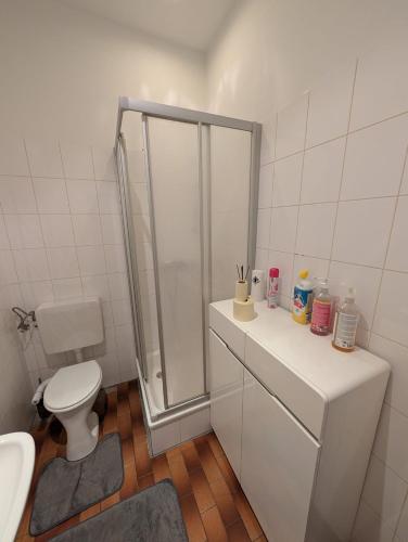 a white bathroom with a shower and a toilet at Cozy Apartment in Simmering in Vienna