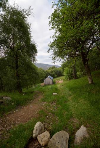 a dirt road in a field with trees and a shed at The Dell at Glenlivet in Glenlivet