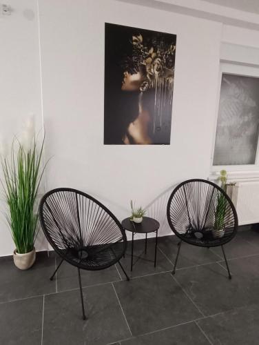 two chairs and a table in a room with plants at Kuća za odmor Tamaris in Vukovar