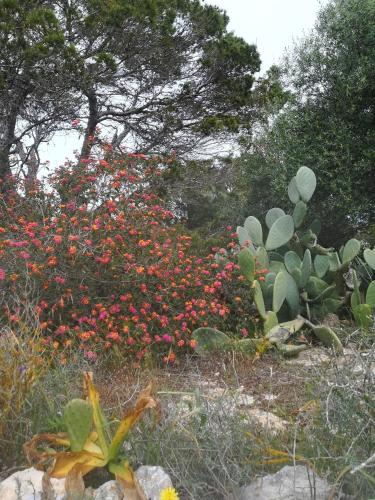 Apartamento Illa Blanca