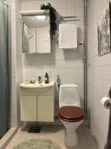 a bathroom with a toilet and a sink and a mirror at Mysiga 21 an in Mariehamn