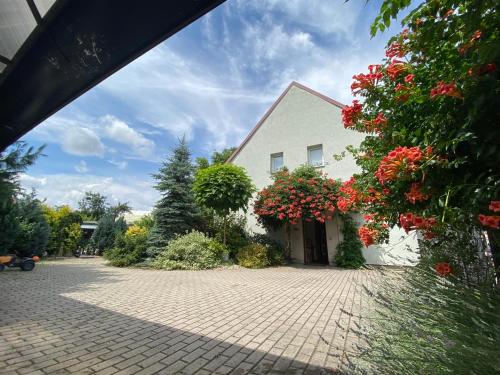パルドゥビツェにあるApartment in a beautiful gardenのレンガの私道に赤い花が咲いた白い家