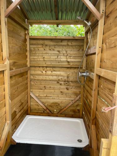 a sauna with a shower in a wooden building at Secret Valley Shepherds Hut in Llanfaenor