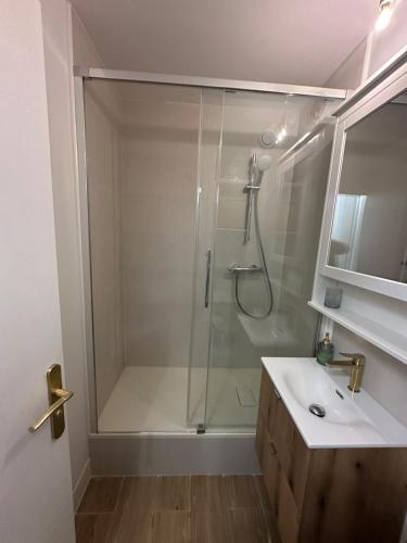 une salle de bain avec une douche avec un lavabo et un miroir dans l'établissement STUDIO COSY, à Cabourg