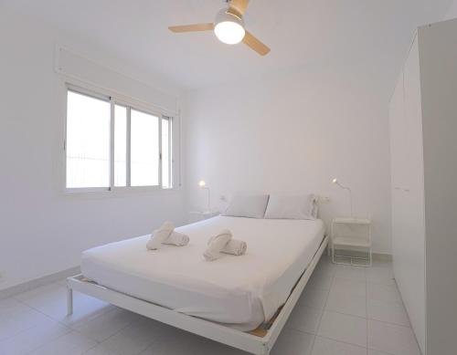 Winahost Barcelona Sants